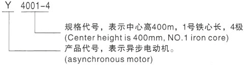 西安泰富西玛Y系列(H355-1000)高压YE2-355M-2三相异步电机型号说明