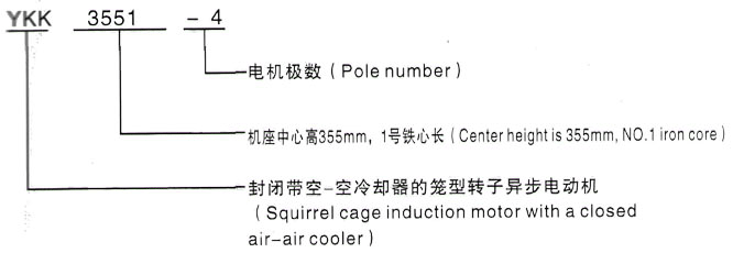 YKK系列(H355-1000)高压YE2-355M-2三相异步电机西安泰富西玛电机型号说明